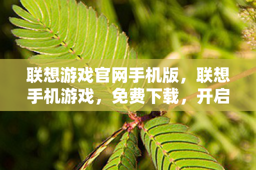 联想游戏官网手机版,联想手机游戏,免费下载,开启你的移动娱乐新篇章 联想游戏官网手机版,联想手机游戏,免费下载,开启你的移动娱乐新篇章