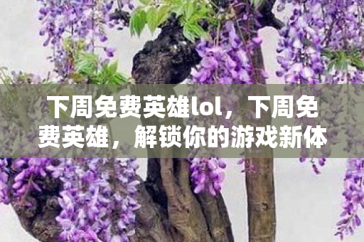 下周免费英雄lol，下周免费英雄，解锁你的游戏新体验