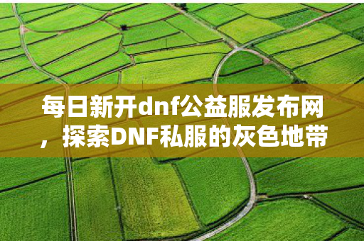 每日新开dnf公益服发布网,探索DNF私服的灰色地带,游戏文化的错位与风险警示 每日新开dnf公益服发布网,探索DNF私服的灰色地带,游戏文化的错位与风险警示
