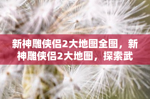 新神雕侠侣2大地图全图,新神雕侠侣2大地图,探索武侠世界的奇幻之旅 新神雕侠侣2大地图全图,新神雕侠侣2大地图,探索武侠世界的奇幻之旅