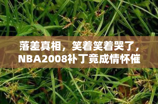 落差真相,笑着笑着哭了,NBA2008补丁竟成情怀催泪弹? 落差真相,笑着笑着哭了,NBA2008补丁竟成情怀催泪弹?