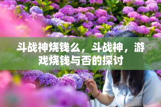 斗战神烧钱么，斗战神，游戏烧钱与否的探讨