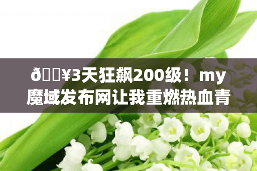 🔥3天狂飙200级!my魔域发布网让我重燃热血青春!💥 🔥3天狂飙200级!my魔域发布网让我重燃热血青春!💥