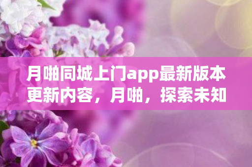 月啪同城上门app最新版本更新内容,月啪,探索未知,点亮生活的奇妙时刻 月啪同城上门app最新版本更新内容,月啪,探索未知,点亮生活的奇妙时刻