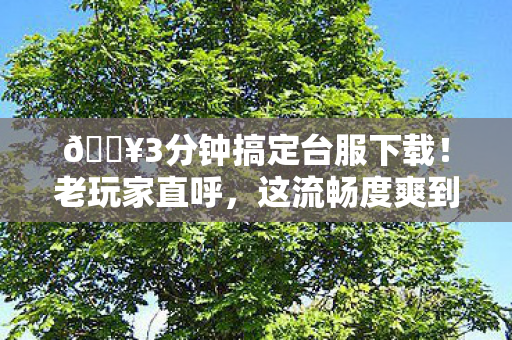🔥3分钟搞定台服下载!老玩家直呼,这流畅度爽到飞起! 🔥3分钟搞定台服下载!老玩家直呼,这流畅度爽到飞起!