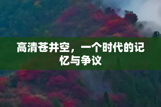高清苍井空,一个时代的记忆与争议 高清苍井空,一个时代的记忆与争议