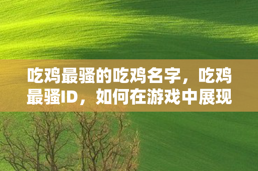 吃鸡最骚的吃鸡名字,吃鸡最骚ID,如何在游戏中展现个性与风采 吃鸡最骚的吃鸡名字,吃鸡最骚ID,如何在游戏中展现个性与风采