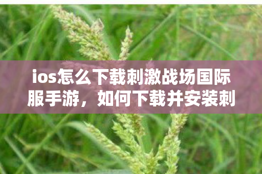 ios怎么下载刺激战场国际服手游,如何下载并安装刺激战场国际服(iOS版) ios怎么下载刺激战场国际服手游,如何下载并安装刺激战场国际服(iOS版)