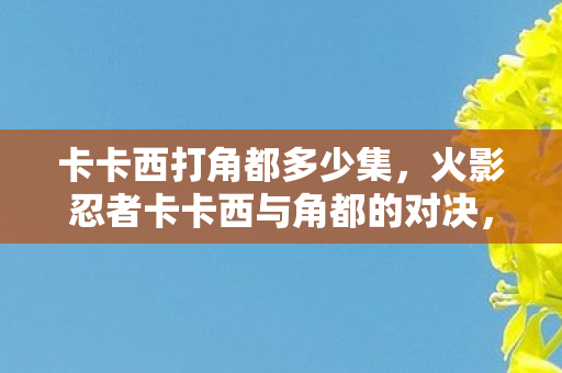 卡卡西打角都多少集，火影忍者卡卡西与角都的对决，第308集