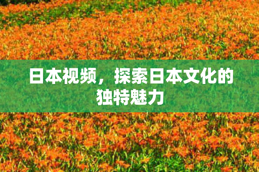 日本视频，探索日本文化的独特魅力