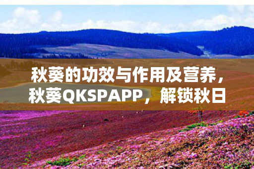 秋葵的功效与作用及营养，秋葵QKSPAPP，解锁秋日餐桌上的绿色奇迹