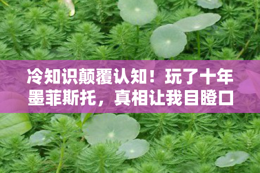 冷知识颠覆认知！玩了十年墨菲斯托，真相让我目瞪口呆
