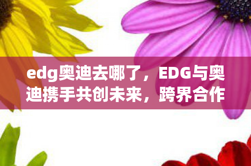 edg奥迪去哪了，EDG与奥迪携手共创未来，跨界合作的背后意义