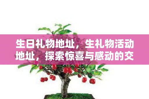 生日礼物地址,生礼物活动地址,探索惊喜与感动的交汇点 生日礼物地址,生礼物活动地址,探索惊喜与感动的交汇点