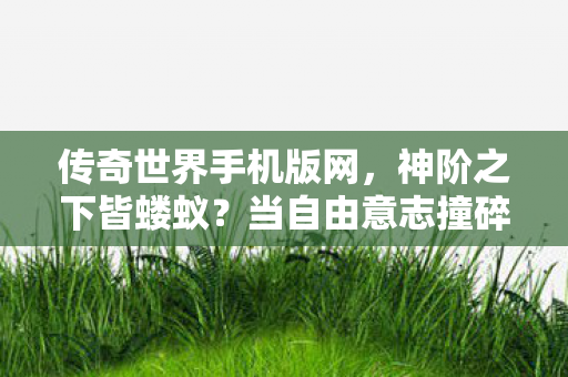 传奇世界手机版网,神阶之下皆蝼蚁?当自由意志撞碎命运齿轮的灵魂震颤 传奇世界手机版网,神阶之下皆蝼蚁?当自由意志撞碎命运齿轮的灵魂震颤