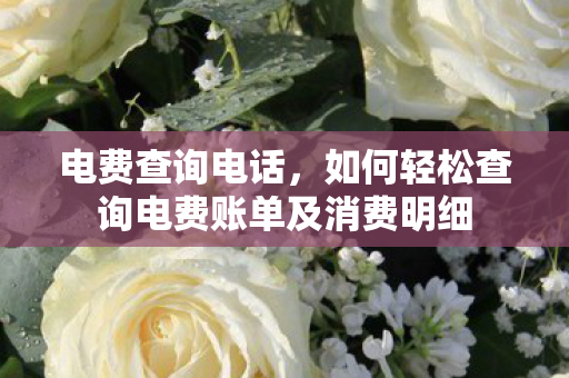 电费查询电话，如何轻松查询电费账单及消费明细