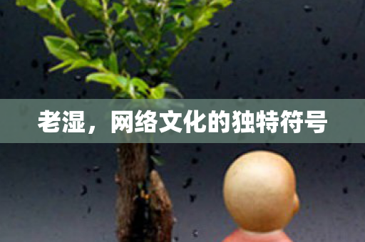 老湿，网络文化的独特符号