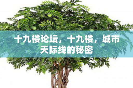 十九楼论坛，十九楼，城市天际线的秘密