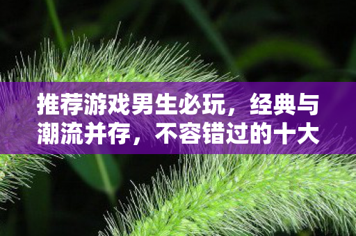 推荐游戏男生必玩,经典与潮流并存,不容错过的十大游戏推荐 推荐游戏男生必玩,经典与潮流并存,不容错过的十大游戏推荐