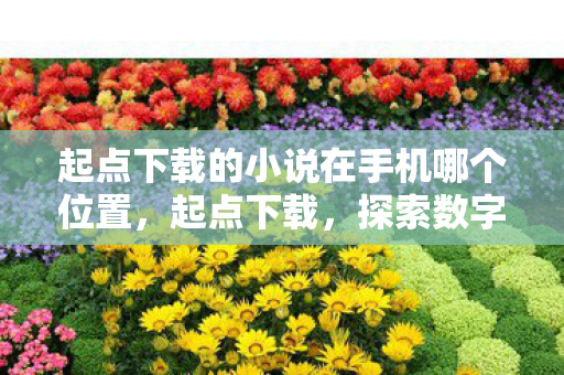 起点下载的小说在手机哪个位置,起点下载,探索数字阅读的无限可能 起点下载的小说在手机哪个位置,起点下载,探索数字阅读的无限可能