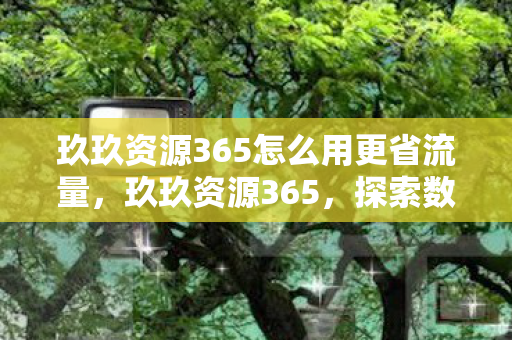 玖玖资源365怎么用更省流量,玖玖资源365,探索数字时代的资源宝库 玖玖资源365怎么用更省流量,玖玖资源365,探索数字时代的资源宝库