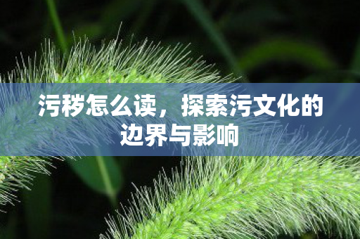 污秽怎么读，探索污文化的边界与影响