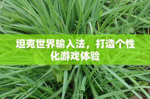 坦克世界输入法,打造个性化游戏体验 坦克世界输入法,打造个性化游戏体验