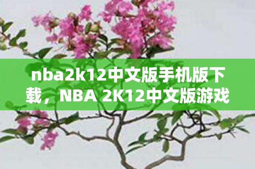 nba2k12中文版手机版下载，NBA 2K12中文版游戏下载攻略及体验分享