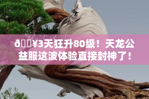 🔥3天狂升80级！天龙公益服这波体验直接封神了！