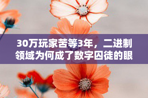 二进制领域为何成了数字囚徒的眼泪图片