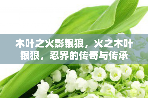 木叶之火影银狼,火之木叶银狼,忍界的传奇与传承 木叶之火影银狼,火之木叶银狼,忍界的传奇与传承