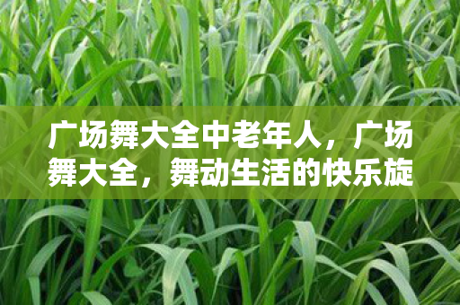 广场舞大全中老年人，广场舞大全，舞动生活的快乐旋律