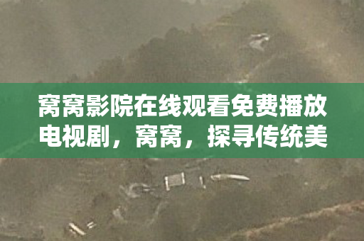 窝窝影院在线观看免费播放电视剧，窝窝，探寻传统美食背后的文化故事