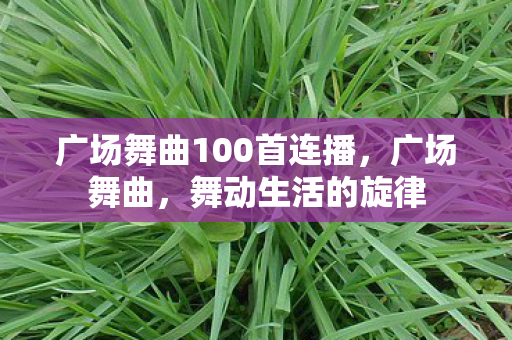 广场舞曲100首连播，广场舞曲，舞动生活的旋律