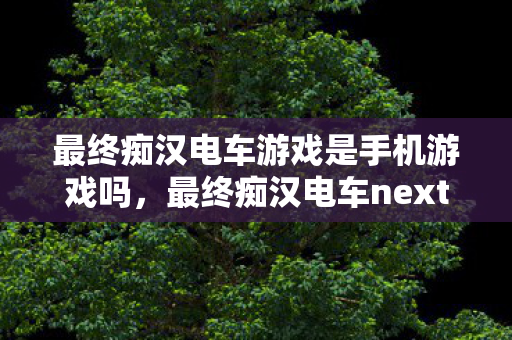 最终痴汉电车游戏是手机游戏吗，最终痴汉电车next，探索城市隐秘角落的奇幻之旅