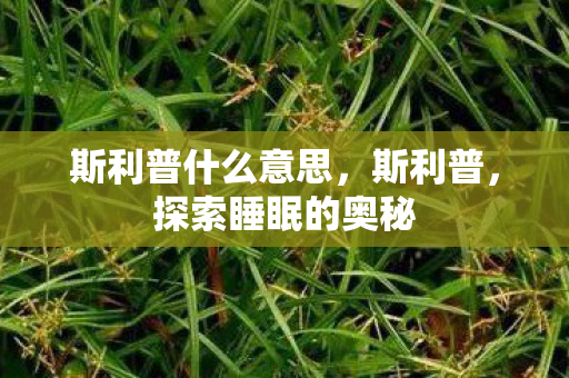 斯利普什么意思,斯利普,探索睡眠的奥秘 斯利普什么意思,斯利普,探索睡眠的奥秘