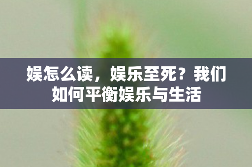 娱怎么读,娱乐至死?我们如何平衡娱乐与生活 娱怎么读,娱乐至死?我们如何平衡娱乐与生活