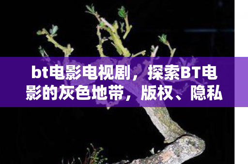 bt电影电视剧,探索BT电影的灰色地带,版权、隐私与道德的多重考量 bt电影电视剧,探索BT电影的灰色地带,版权、隐私与道德的多重考量