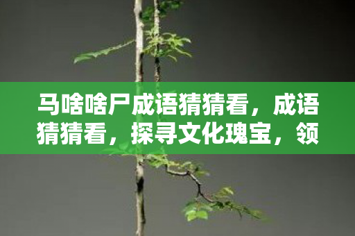 马啥啥尸成语猜猜看，成语猜猜看，探寻文化瑰宝，领略智慧之美