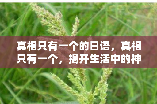 真相只有一个的日语，真相只有一个，揭开生活中的神秘面纱
