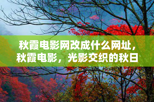 秋霞电影网改成什么网址，秋霞电影，光影交织的秋日恋歌