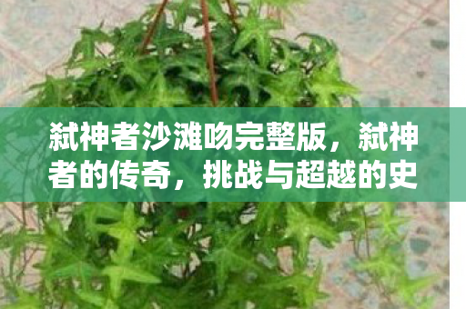 弑神者沙滩吻完整版，弑神者的传奇，挑战与超越的史诗