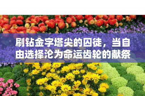 刷钻金字塔尖的囚徒,当自由选择沦为命运齿轮的献祭品 刷钻金字塔尖的囚徒,当自由选择沦为命运齿轮的献祭品