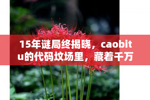15年谜局终揭晓,caobitu的代码坟场里,藏着千万玩家的泪目青春 15年谜局终揭晓,caobitu的代码坟场里,藏着千万玩家的泪目青春