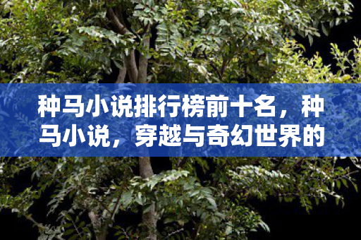 种马小说排行榜前十名,种马小说,穿越与奇幻世界的浪漫邂逅 种马小说排行榜前十名,种马小说,穿越与奇幻世界的浪漫邂逅