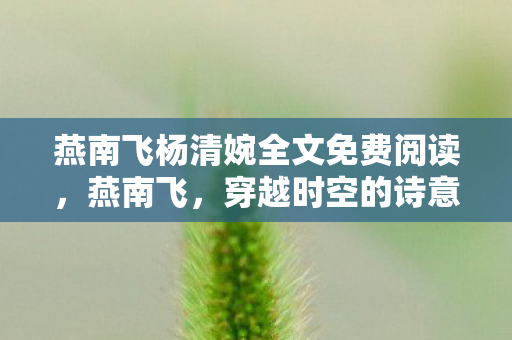 燕南飞杨清婉全文免费阅读,燕南飞,穿越时空的诗意行者 燕南飞杨清婉全文免费阅读,燕南飞,穿越时空的诗意行者