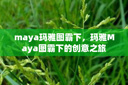 maya玛雅图霸下，玛雅Maya图霸下的创意之旅