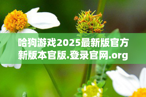 哈狗游戏2025最新版官方新版本官版图片