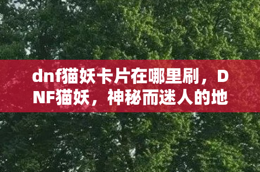 dnf猫妖卡片在哪里刷，DNF猫妖，神秘而迷人的地下城生物