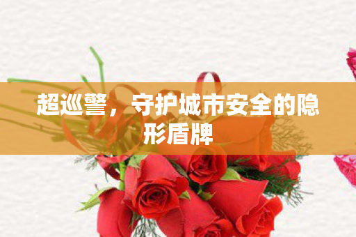 超巡警,守护城市安全的隐形盾牌 超巡警,守护城市安全的隐形盾牌